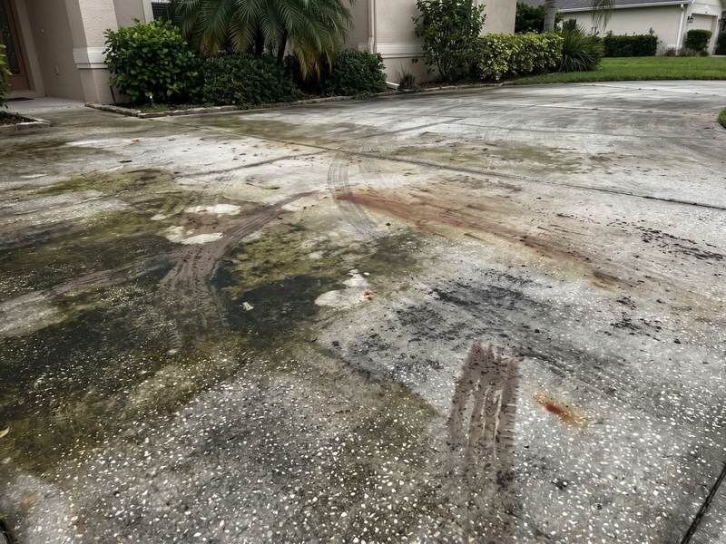 A residential concrete driveway darkened by black and green algae, mildew streaking and rust staining, before power washing